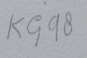 Klaas Gubbels - Houtdruk: Zwarte zwanen - 1998 kopen? Bied vanaf 295!
