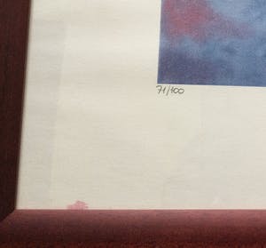 Patty Harpenau - z.t. | kleuren zeefdruk of giclée (ingelijst) kopen? Bied vanaf 1!