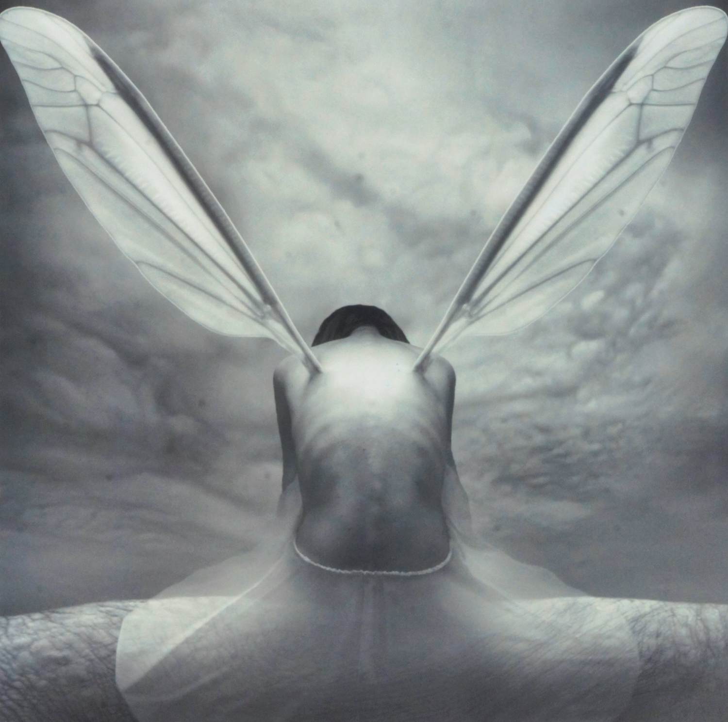 Dariusz Klimczak - 'Night Fly' (2011) - GRATIS VERZENDING kopen? Bied vanaf 70!