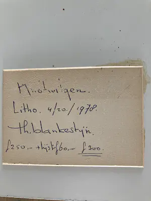 Theo Blankestijn - Wilgen kopen? Bied vanaf 30!