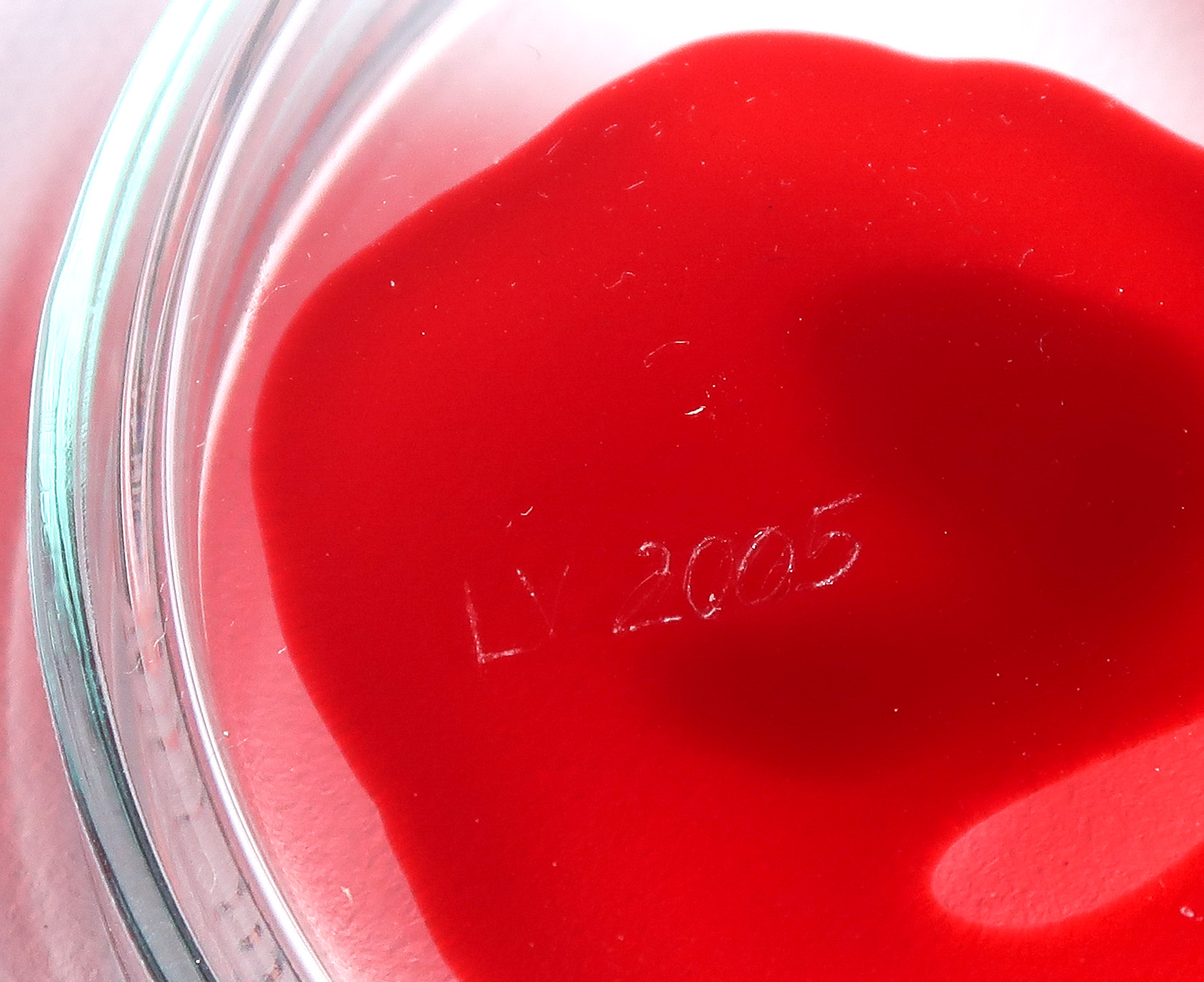 Lisette Verkerk - Beschilderd petrischaaltje, Origins kopen? Bied vanaf 1!