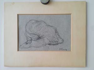 Jan Koning - Dromedaris. kopen? Bied vanaf 10!