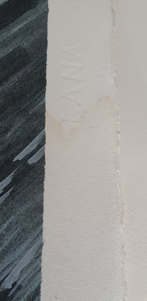 Jeroen Henneman - Langs de Rijn - Gesigneerd - 250 ex. - 1995 kopen? Bied vanaf 50!