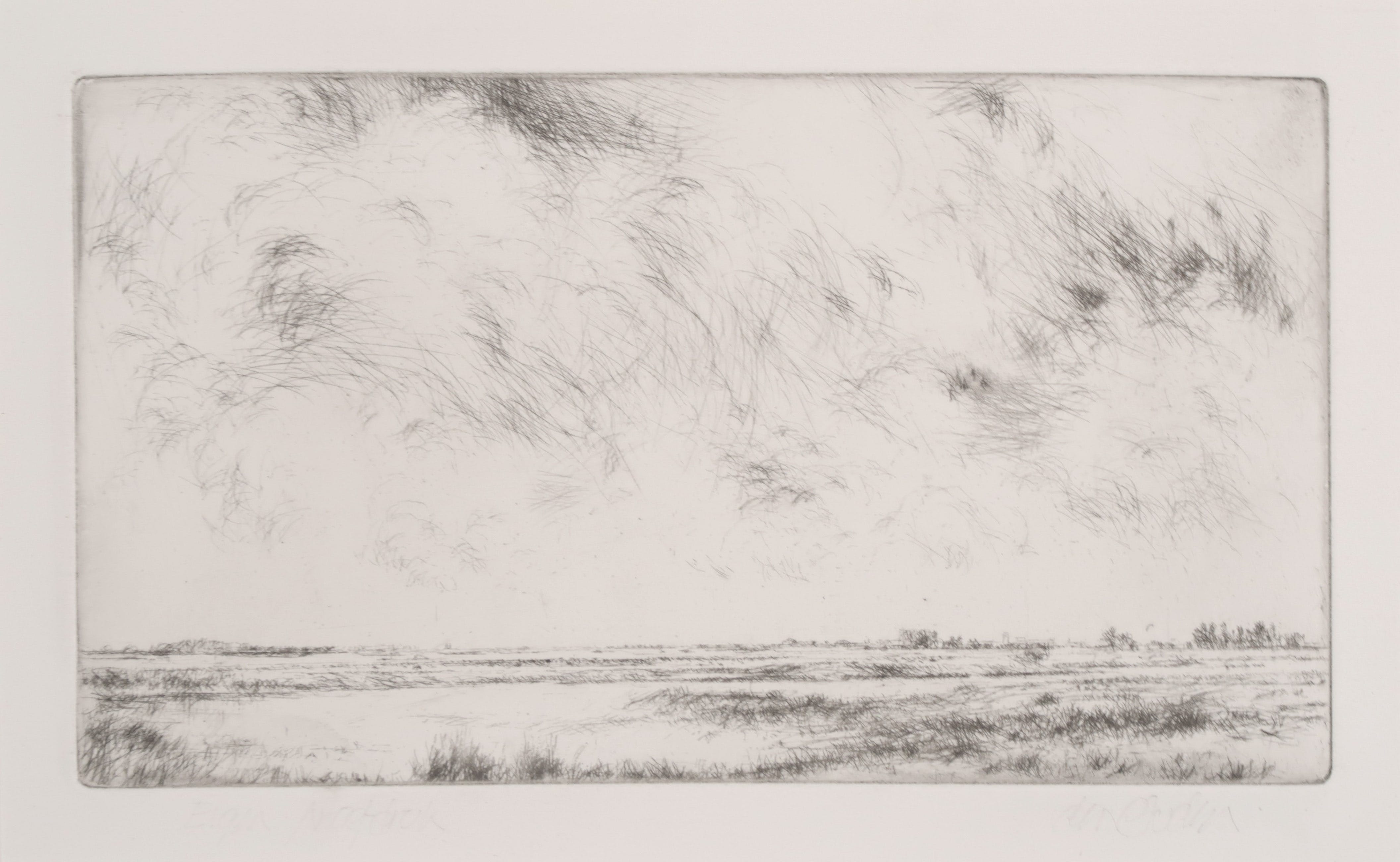 Willem den Ouden - Ets, Zennewijnen verkocht voor € 120!