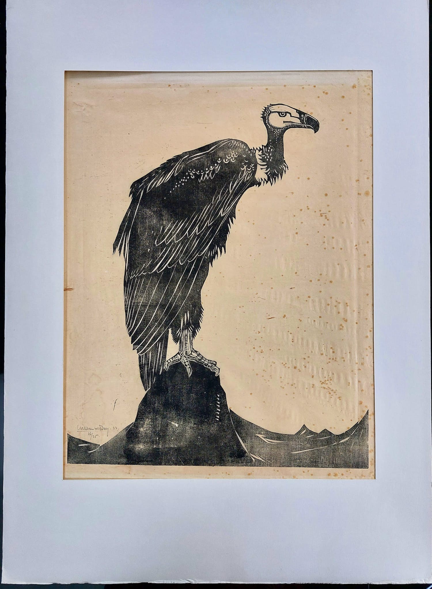 Willem van den Berg - Houtsnede Gier verkocht voor € 60!