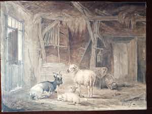 Pieter Plas - Schapen en geit in de stal verkocht voor € 50!