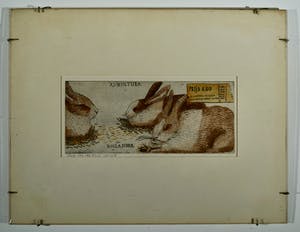 Arja van den Berg - AVICULTURA kopen? Bied vanaf 20!