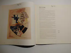 Hugo Claus - Jaski Art Gallery catalogus met gesigneerde en genummerde zeefdruk(623/750) kopen? Bied vanaf 60!