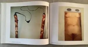 Anton Henning - Antonym kopen? Bied vanaf 60!