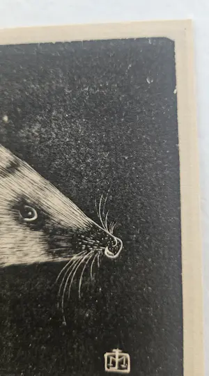 Jan Mankes - een egel kopen? Bied vanaf 50!