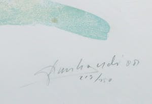 Frank Gude - Zeefdruk, Voetbal - Ingelijst kopen? Bied vanaf 1!