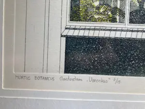AcheterTiny van der Sar - hortus botanicus amsterdam varenkas? Enchérissez de 150!
