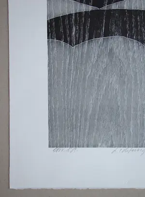 Franz Eggenschwiler - Clearing II, 1992 - Originele houtsnede, handgesigneerd kopen? Bied vanaf 160!