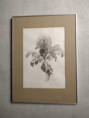 Niet of onleesbaar gesigneerd - Greet Aeijelts kopen? Bied vanaf 1!