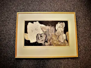 Ru van Rossem - Magnifieke 1962 handgekleurde Ets "Oerlandschap" kleine oplage (28/40) potloodg kopen? Bied vanaf 38!