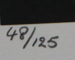 Guy Vandenbranden - Kleurrijke zeefdruk: Cathedrale de la lumiere - 1999 kopen? Bied vanaf 225!
