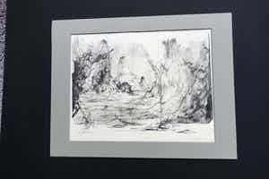 Dirkje Kuik - VERGEZICHT verkocht voor € 45!