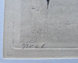 Suze de Lint - omstreeks 1920 - delicate droge naald Ets "bloesemtak" zeer kleine oplage (25) kopen? Bied vanaf 31!