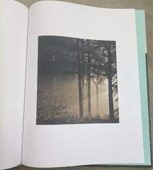 Marc Mulders - Secret Garden (gesigneerd en met originele tekening) kopen? Bied vanaf 70!