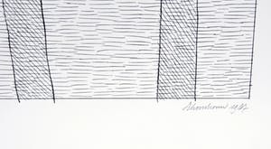 Jan Schoonhoven - Vorm kopen? Bied vanaf 250!