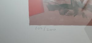 Constant - Twee beesten kopen? Bied vanaf 400!