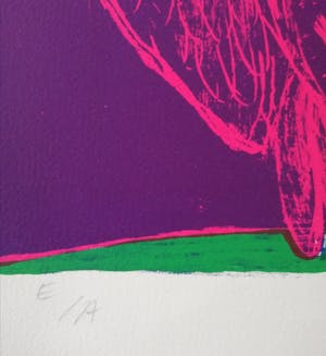 Corneille - Oiseau rouge kopen? Bied vanaf 150!