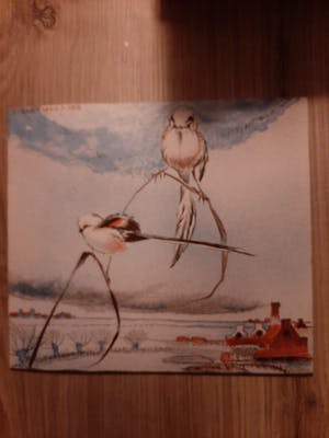 Jos Ruting - 8 platen kopen? Bied vanaf 20!