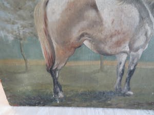 Niet of onleesbaar gesigneerd - Paard in de wei kopen? Bied vanaf 10!