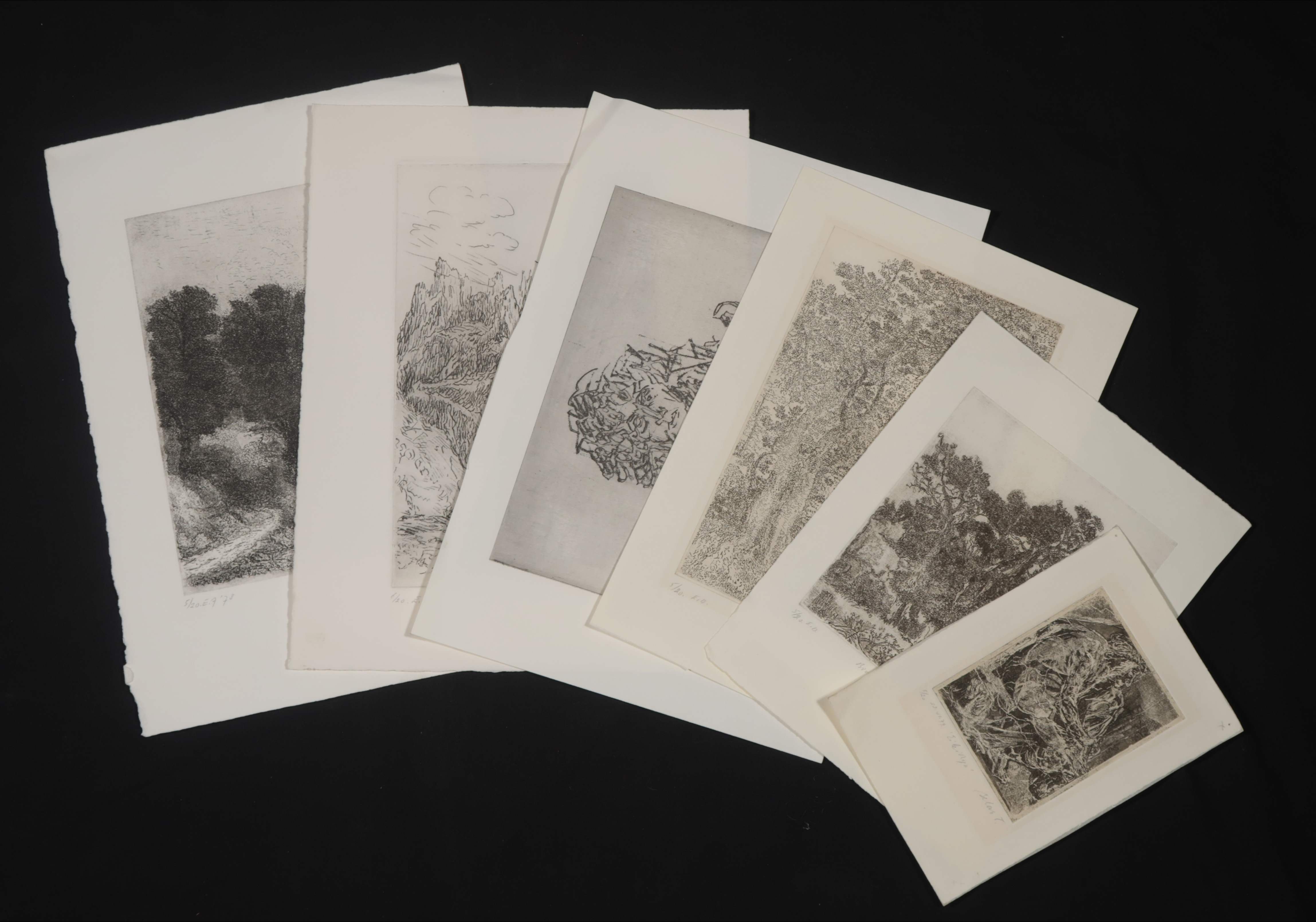 Gerard Bellaart - Lotje (E) met 6 etsen op papier kopen? Bied vanaf 1!