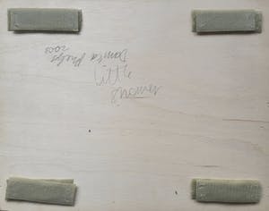 Danica Phelps - making love with Debi kopen? Bied vanaf 400!