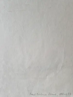 Paul Bodmer - Großer um 1920 - original Lithographie - junger Schüler - bleistift signiert kopen? Bied vanaf 29!