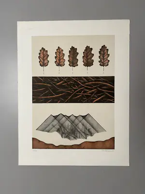 Ana Godel - Cahiers de Botanique kopen? Bied vanaf 20!