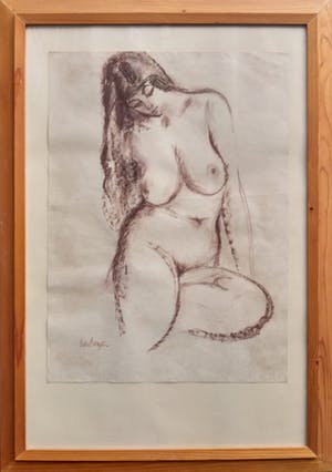 Cees Bantzinger - Naakt in krijt - groot formaat! kopen? Bied vanaf 125!