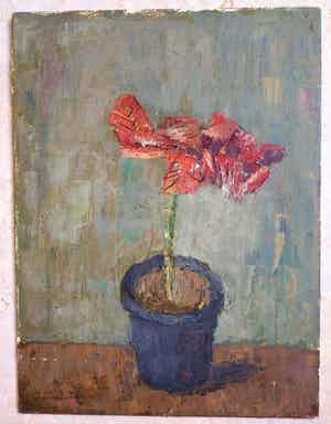 Jan Linschooten - Stilleven, Plant verkocht voor € 140!