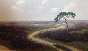 Thomas van Wissen - Olieverf op doek. Titel, "Veluws Heidelandschap". kopen? Bied vanaf 50!