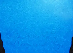 Ineke Calis - Prachtige, kleurrijke zeefdruk. kopen? Bied vanaf 75!