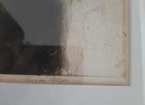 Ru van Rossem - Camargue kopen? Bied vanaf 95!