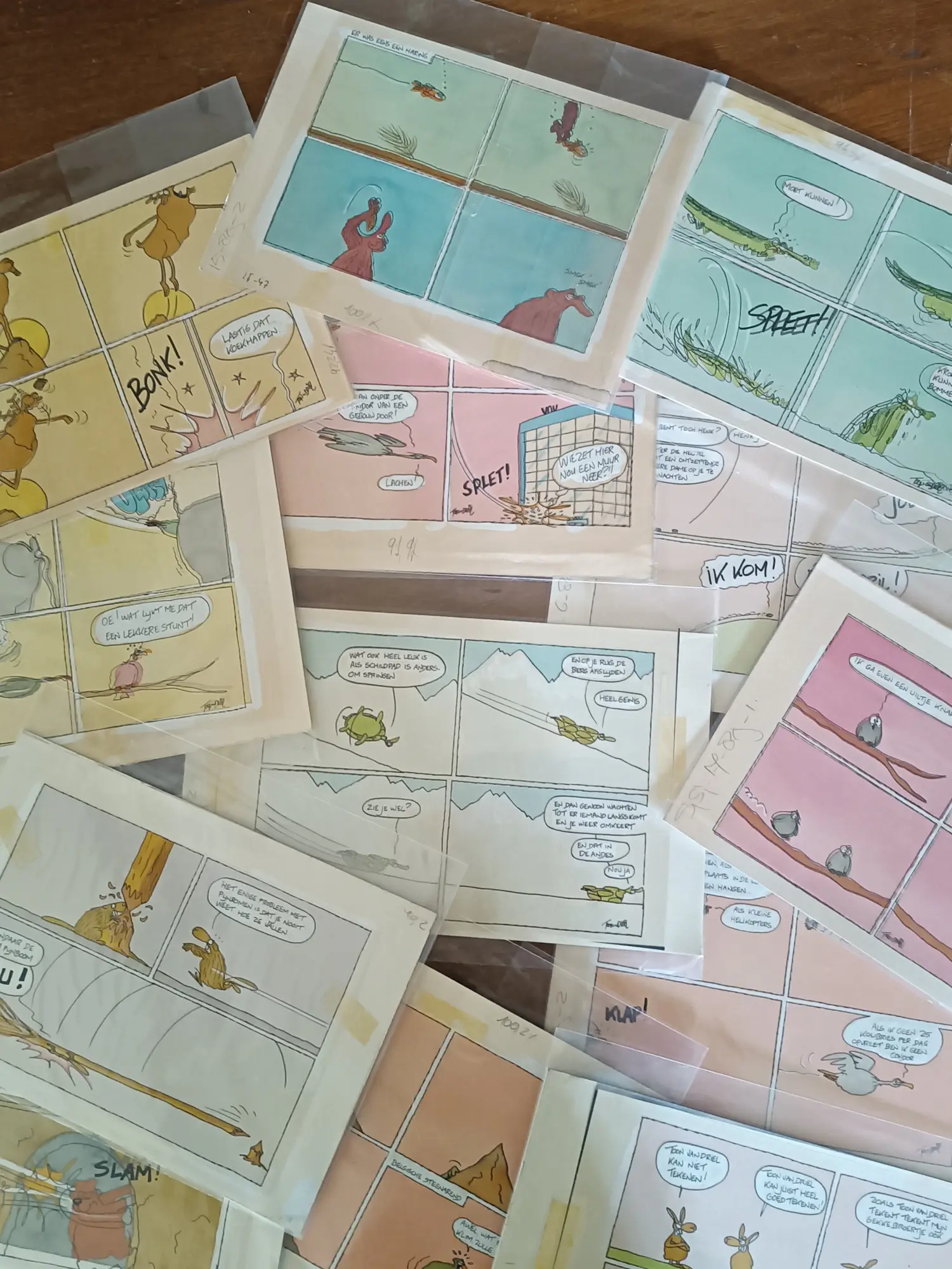 Toon van Driel (1945)