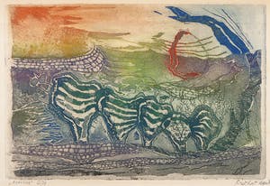 Fred Koot - Kleurenets, Mhoymna kopen? Bied vanaf 40!