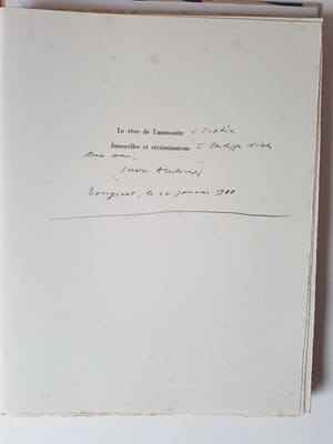 Pierre Alechinsky - Le rêve de l'ammonite kopen? Bied vanaf 2500!