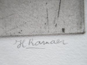 Hanny Ramaer - Ets "Foetus varken" kopen? Bied vanaf 30!