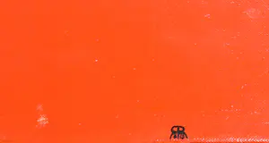 Rudy Martina - Olieverf op doek, Herkomst onbekend - Ingelijst kopen? Bied vanaf 1!