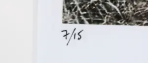 Francois Berthier - Fotografie, I'Envol- Ingelijst kopen? Bied vanaf 40!