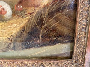 Jef Van Leemputten - Kippen in de staal kopen? Bied vanaf 400!