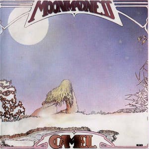 Various artists - Lot van 2 LPs: Camel, Blood, sweat & tears kopen? Bied vanaf 10!
