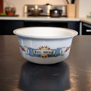 Villeroy en Boch - Paul Bocuse - Oven com kopen? Bied vanaf 10!