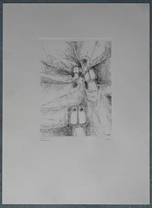 Hubert Minnebo - Map met vier etsen en twee foto's kopen? Bied vanaf 100!