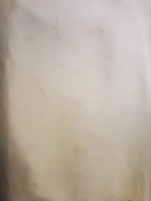 Jan Sierhuis - Tekening krijt/acryl kopen? Bied vanaf 1!