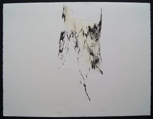 Armando - litho ‘Der Baum’ – 1988 – oplage 228/300. kopen? Bied vanaf 350!