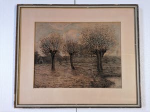 Theo Goedvriend - Knotwilgen in het landschap kopen? Bied vanaf 75!